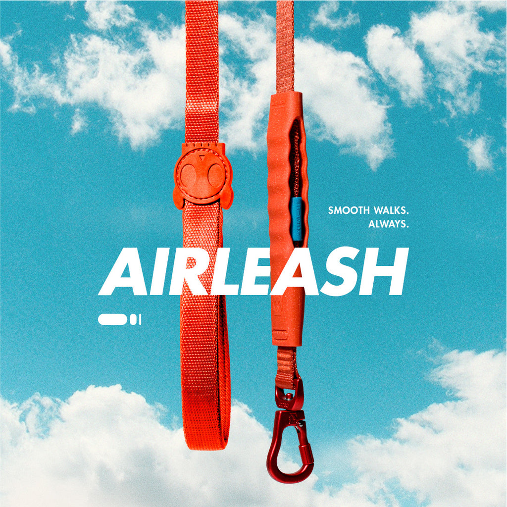 AIRLEASH