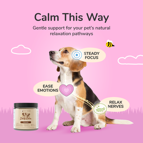 Daily Calm (Healthy Calm)