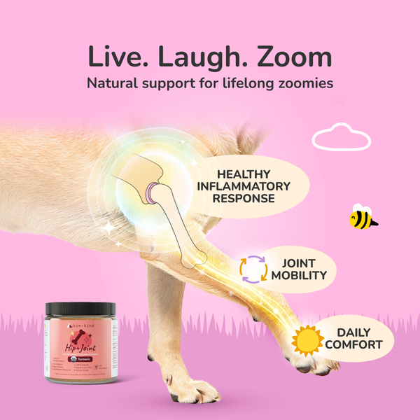 Healthy Hip&Joint Supplement