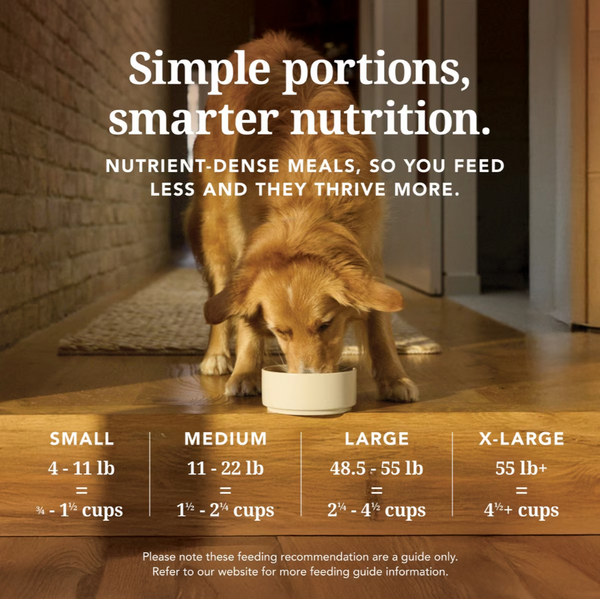 K9 Natural Freeze Dried Beef