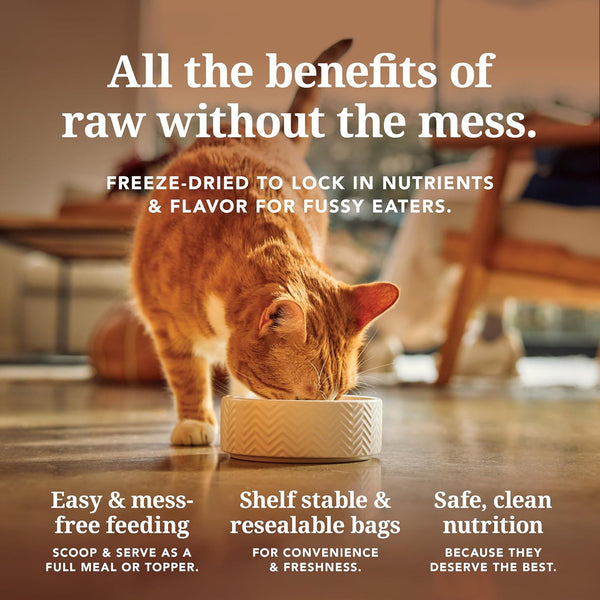 Feline Natural Freeze Dried Beef