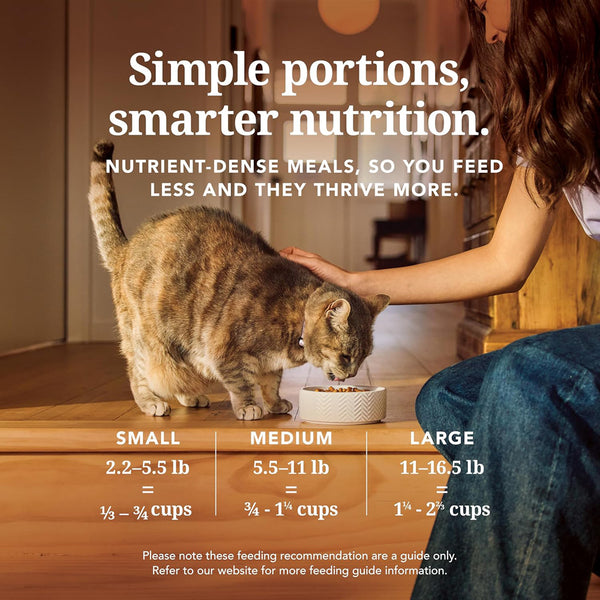 Feline Natural Freeze Dried Lamb