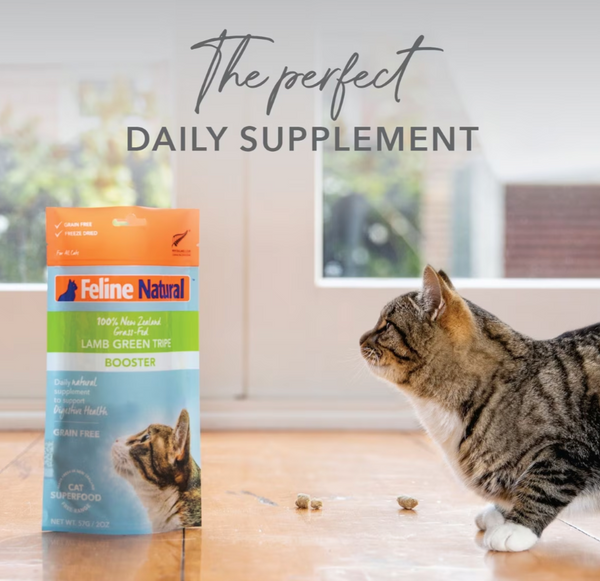 Feline Natural Freeze Dried Lamb Tripe Booster