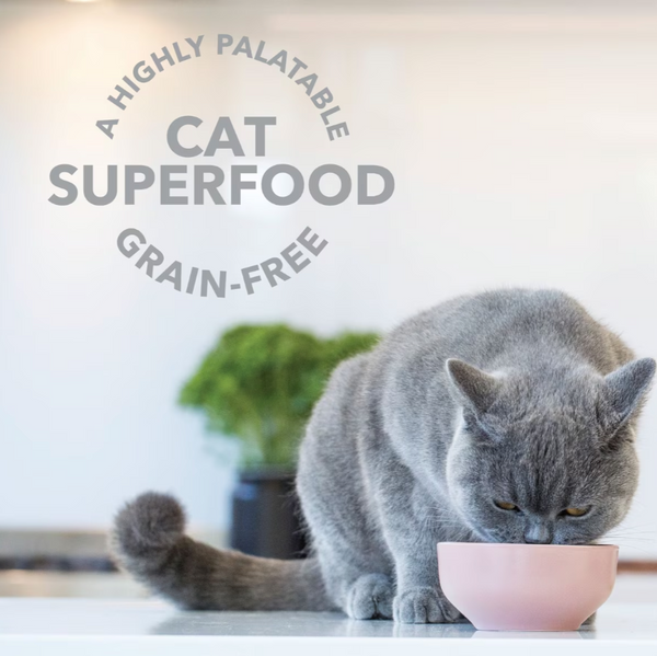Feline Natural Freeze Dried Lamb Tripe Booster