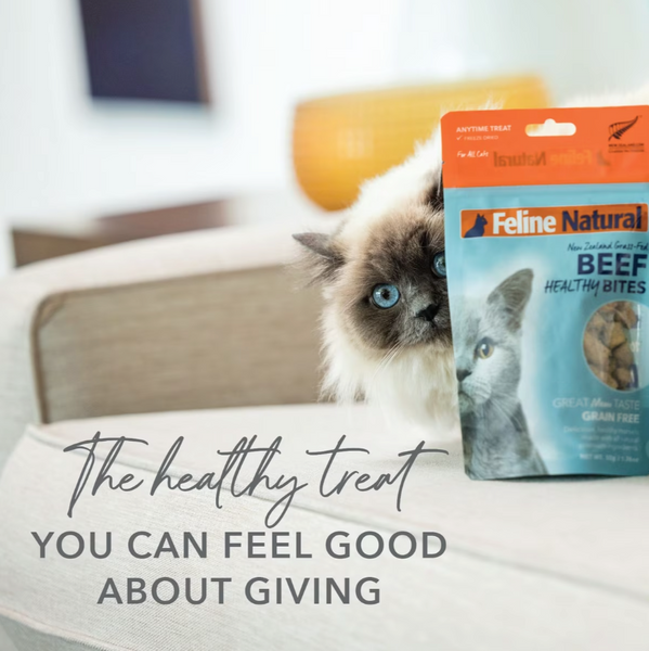 Feline Healthy Bites