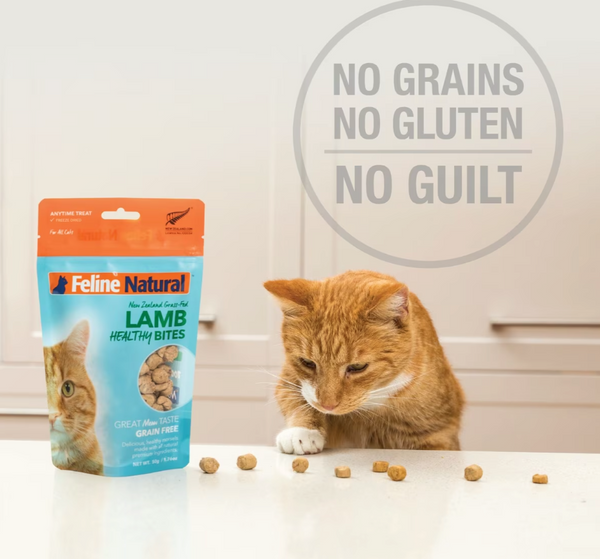 Feline Healthy Bites