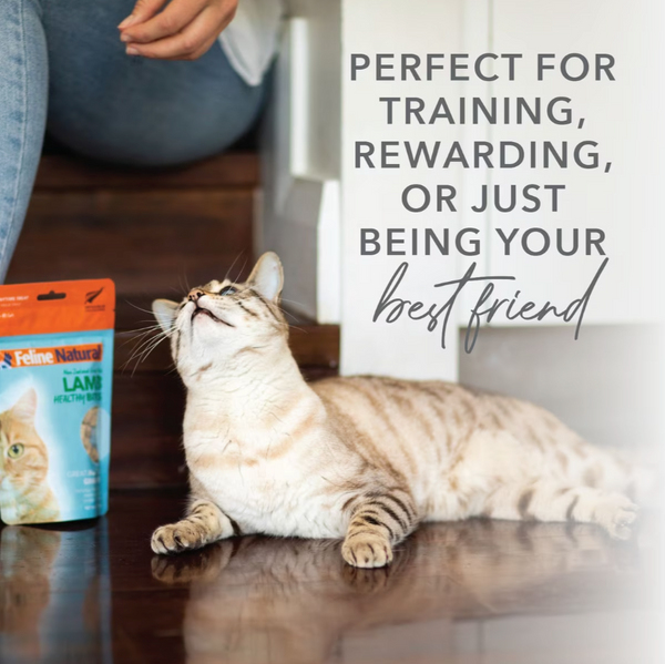 Feline Healthy Bites