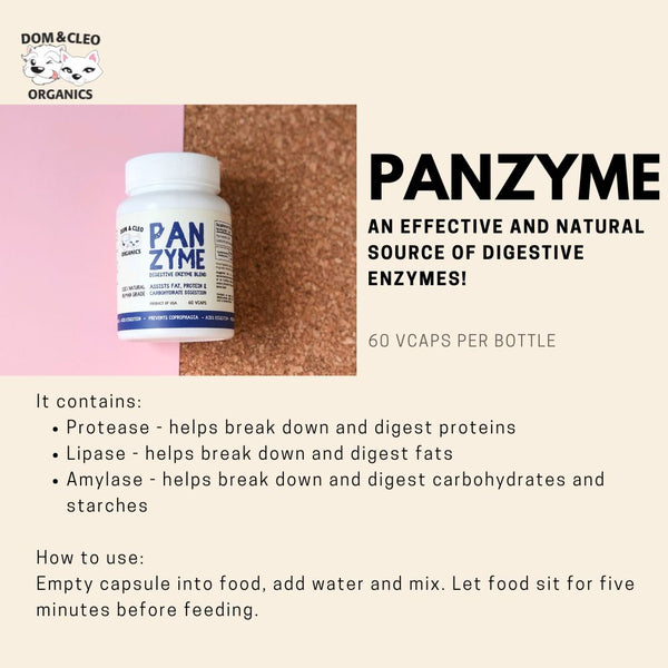 Panzymes