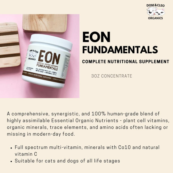 EON Fundamentals