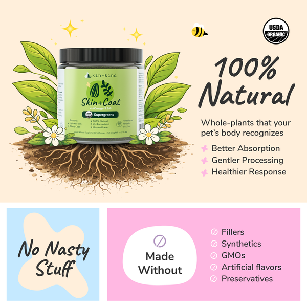 Healthy Skin & Coat