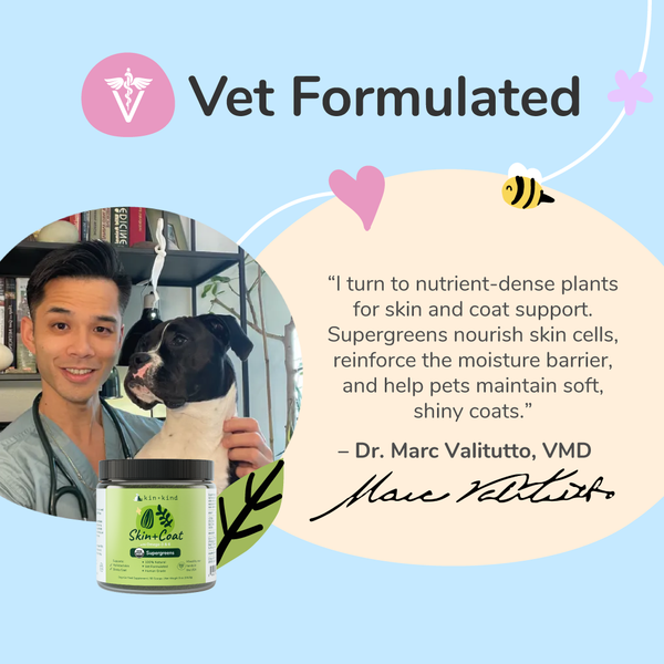 Healthy Skin & Coat