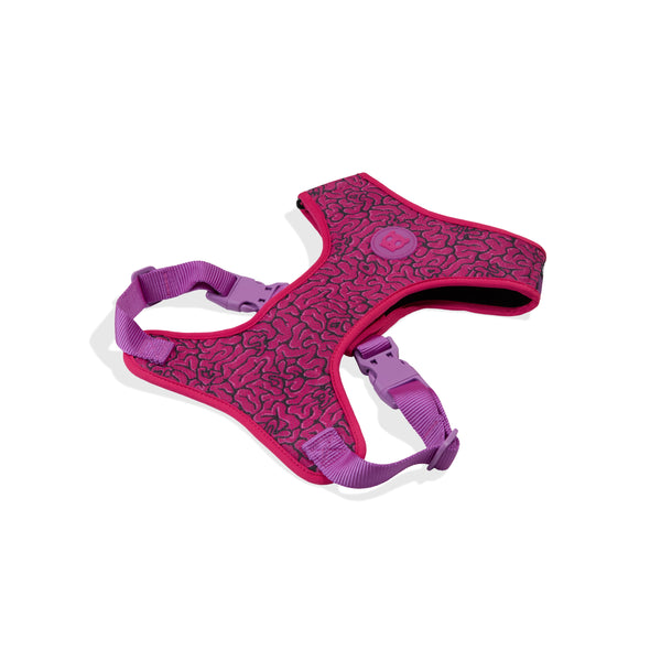 Lords Of Zee.Town Brain Air Mesh Harness