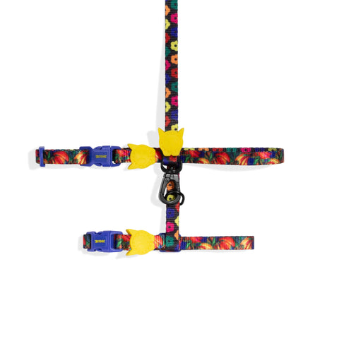 Samba Harness + Leash Set