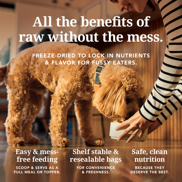 K9 Natural Freeze Dried Beef & Hoki