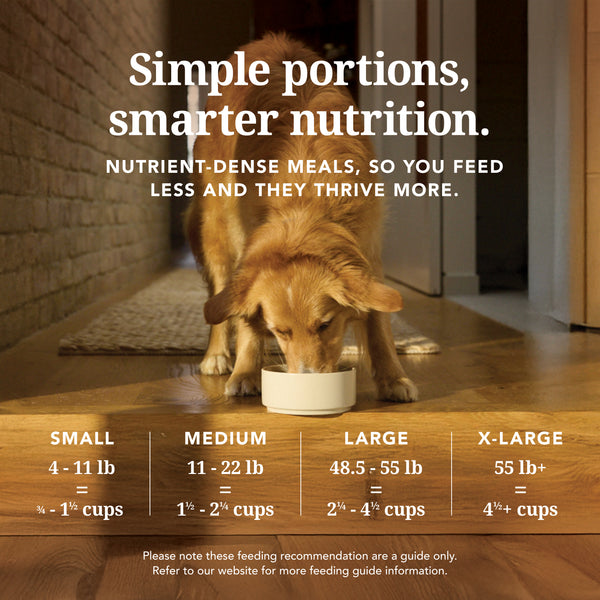 K9 Natural Freeze Dried Beef & Hoki