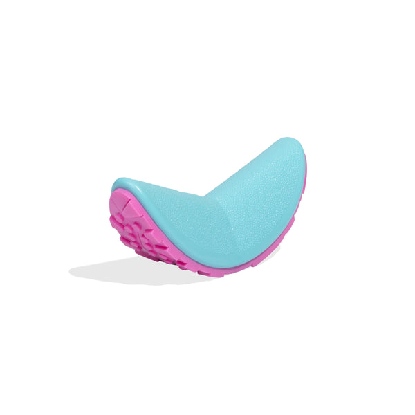 Boomerang Toy