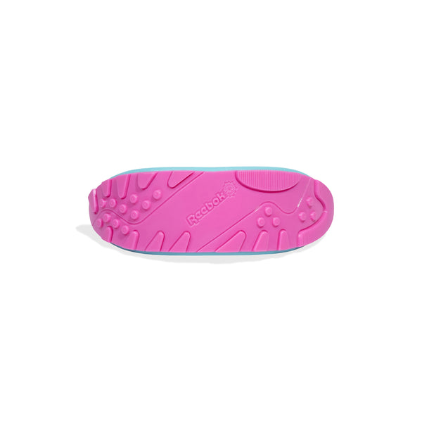 Boomerang Toy