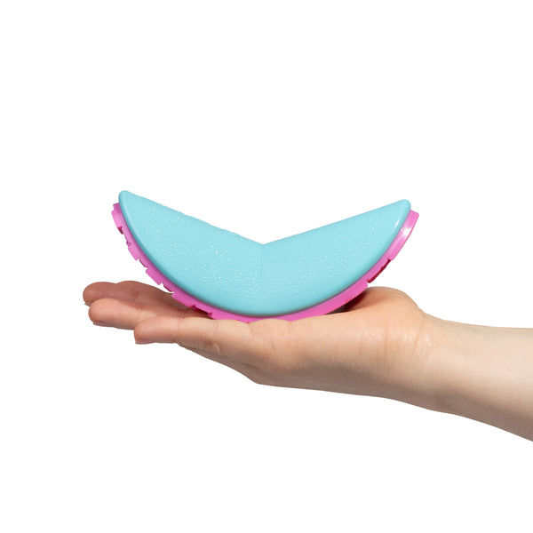 Boomerang Toy