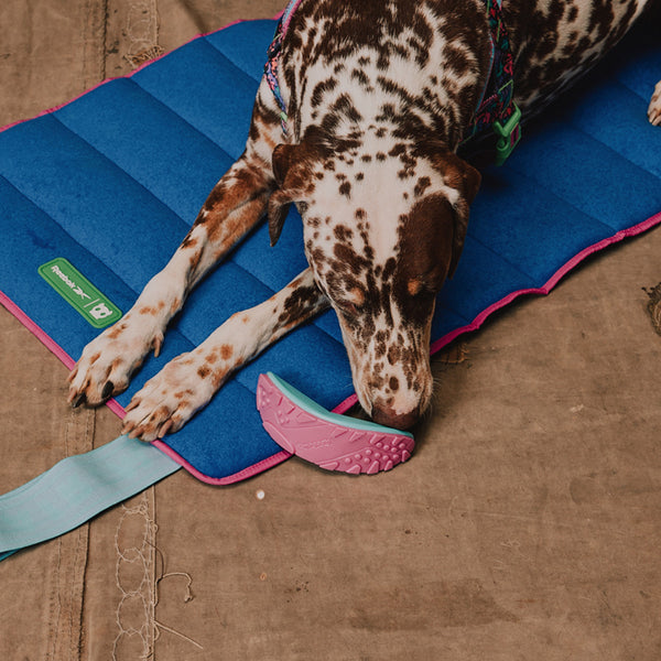 Boomerang Toy
