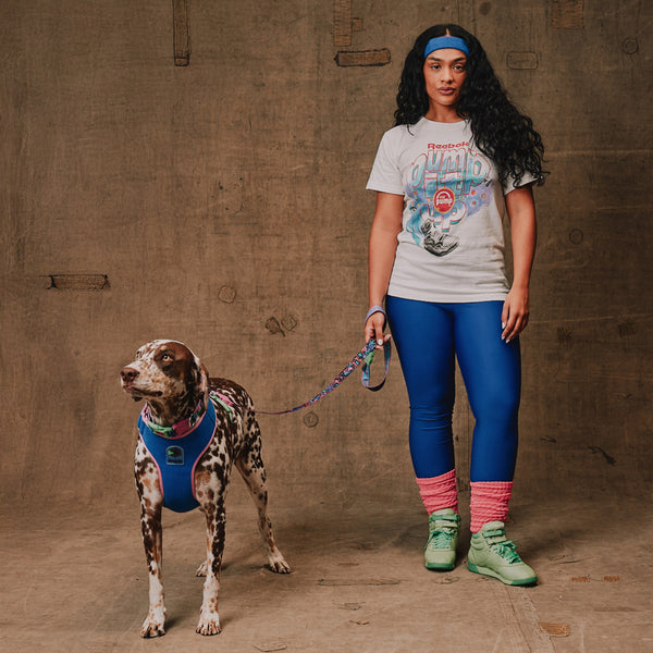 Aerobic Adjustable Air Mesh Harness