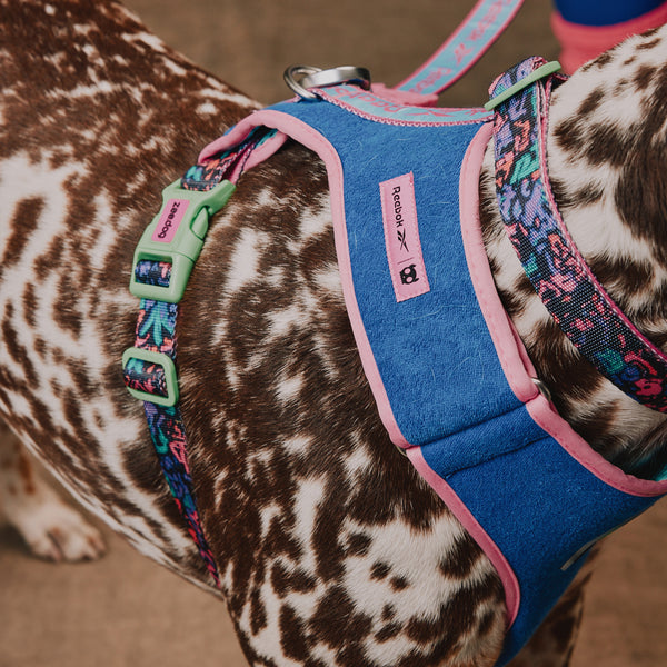 Aerobic Adjustable Air Mesh Harness