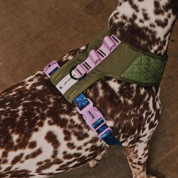Trekk Adjustable Air Mesh Harness