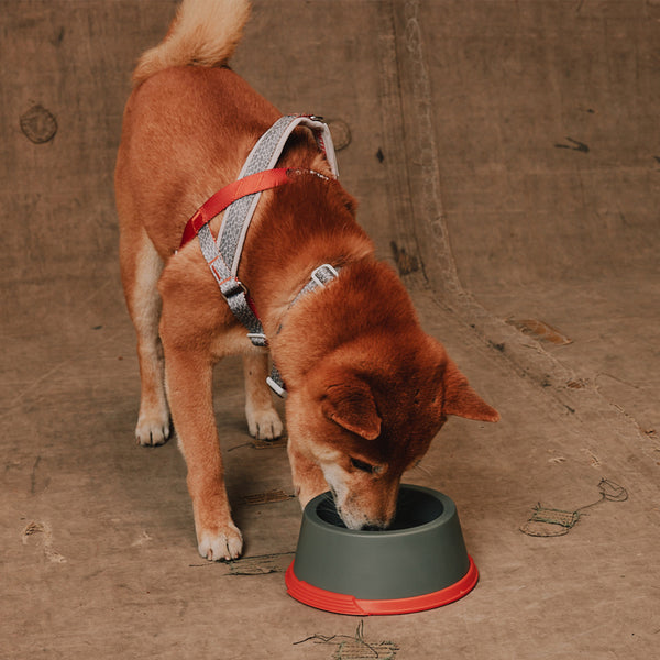 Suede Melamine Bowl Small
