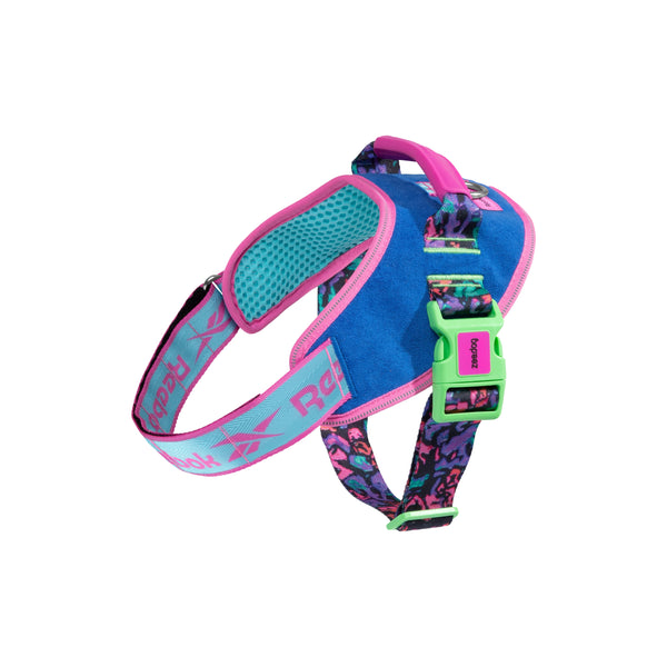 Aerobic Flyharness