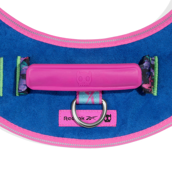 Aerobic Flyharness