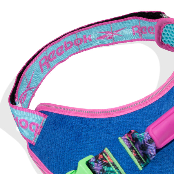 Aerobic Flyharness