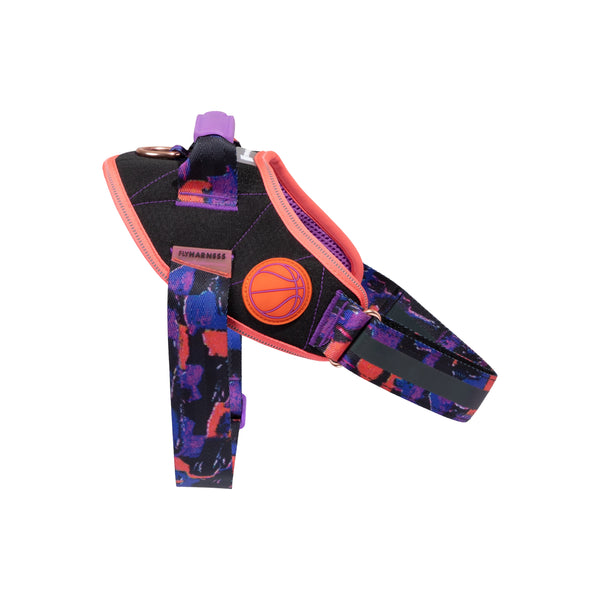 Court Flyharness