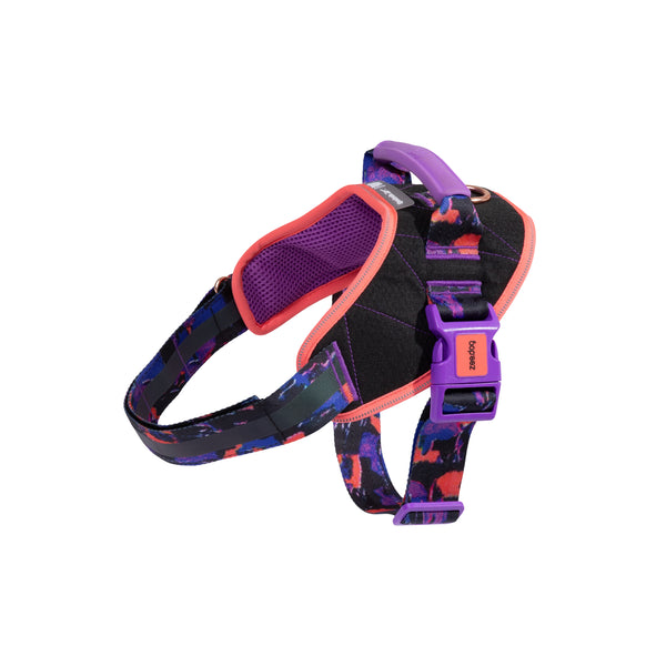 Court Flyharness