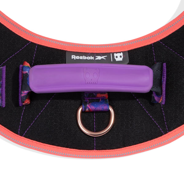 Court Flyharness