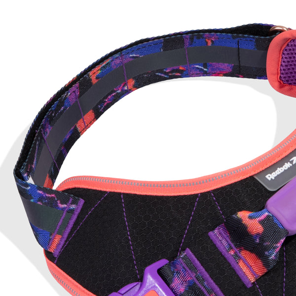Court Flyharness