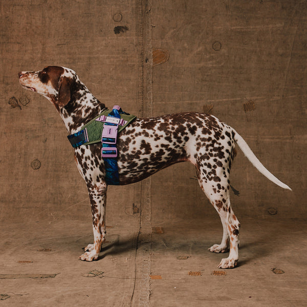 Trekk Flyharness