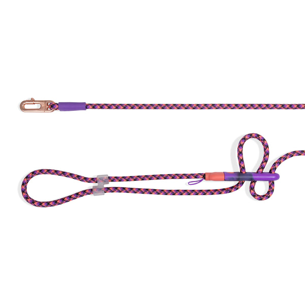Court Handsfree Leash