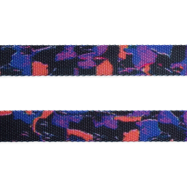 Court Leash