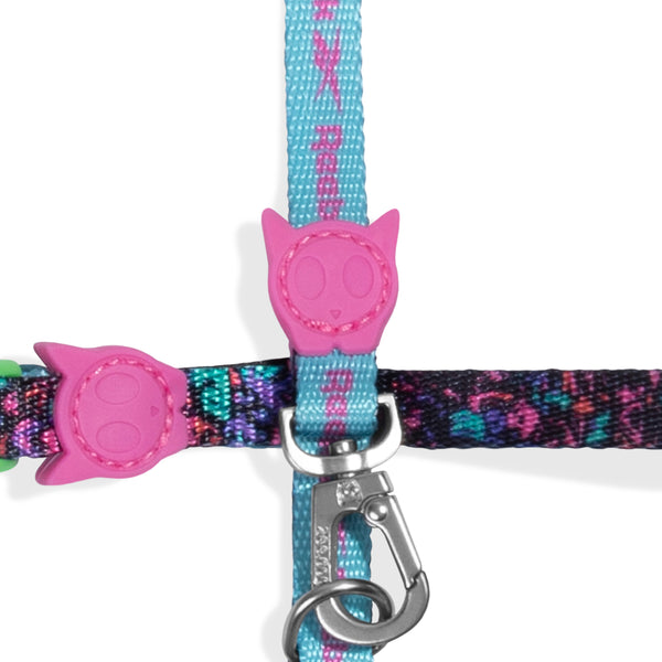 Aerobic Harness + Leash Set