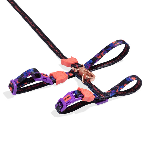 Court Harness + Leash Set