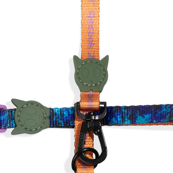 Trekk Harness + Leash Set