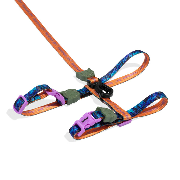 Trekk Harness + Leash Set