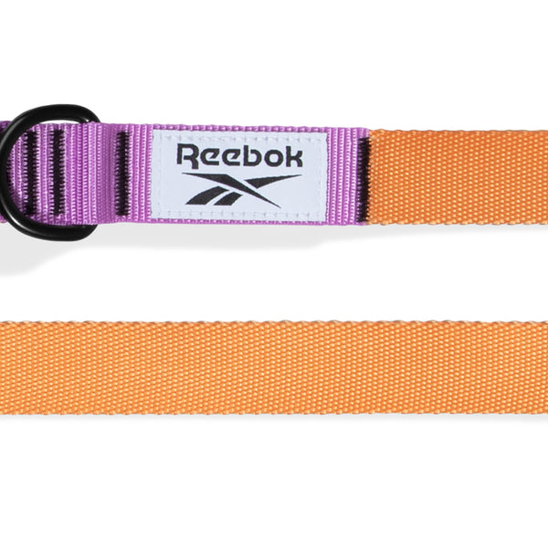 Trekk Leash