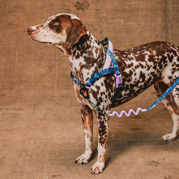 Trekk Softer Walk Harness