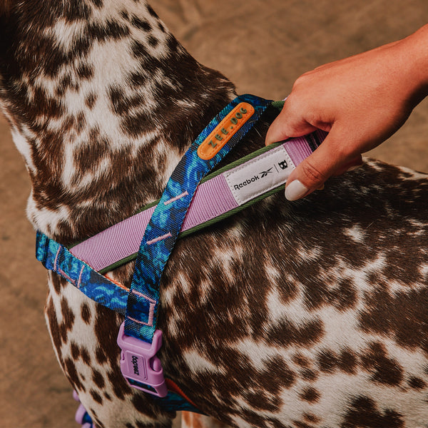 Trekk Softer Walk Harness