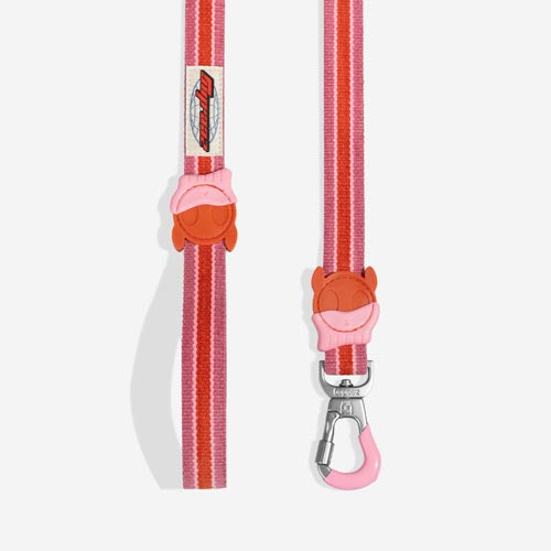 Courtney Velvet Vibes Leash