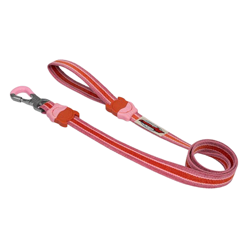 Courtney Velvet Vibes Leash