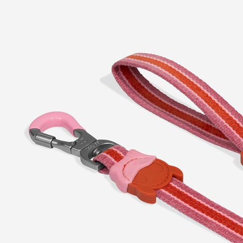 Courtney Velvet Vibes Leash