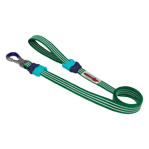 Vert Velvet Vibes Leash