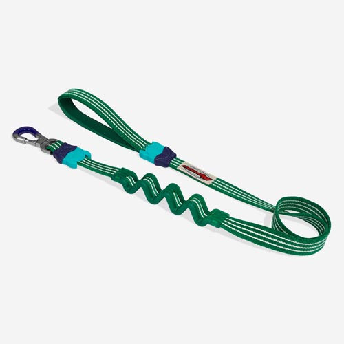 Vert Velvet Vibes Ruff Leash
