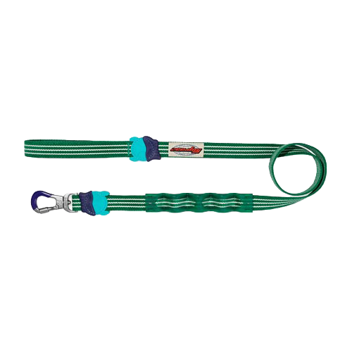 Vert Velvet Vibes Ruff Leash